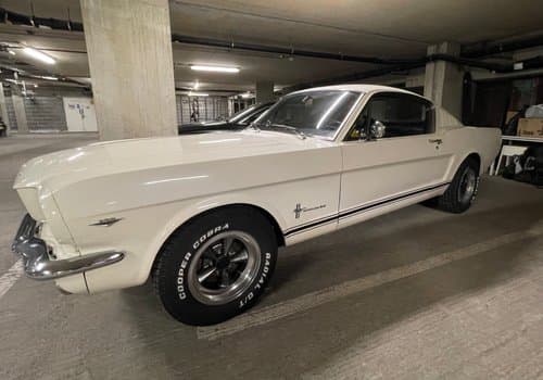 American Muscle build